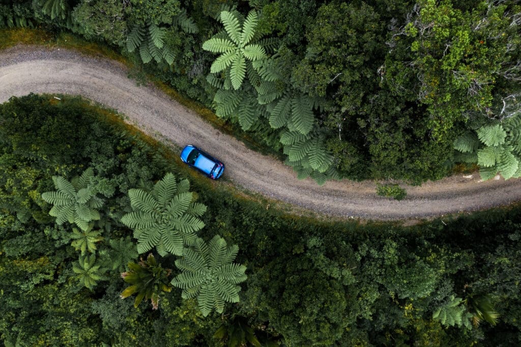Car traveling along a remote forest road on an international road trip